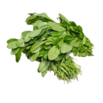 Water Leaf