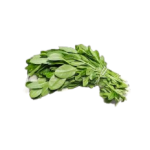 Water Leaf
